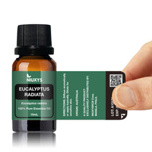 Load image into Gallery viewer, Eucalyptus Radiata 15ml (Wholesale)