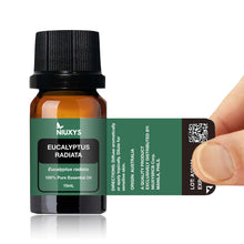 Load image into Gallery viewer, Eucalyptus Radiata Essential Oil