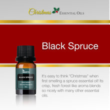 Load image into Gallery viewer, Christmas Essential Oils