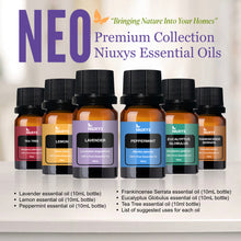 Load image into Gallery viewer, NEO Premium Set