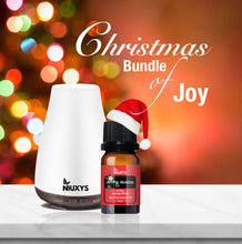 Load image into Gallery viewer, Christmas Bundle Of Joy