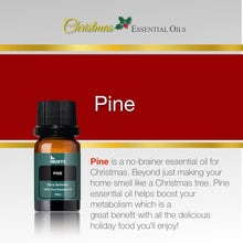 Load image into Gallery viewer, Christmas Essential Oils