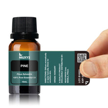 Load image into Gallery viewer, Pine 15ml (Wholesale)
