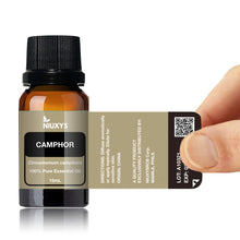 Load image into Gallery viewer, Camphor 15ml (Wholesale)