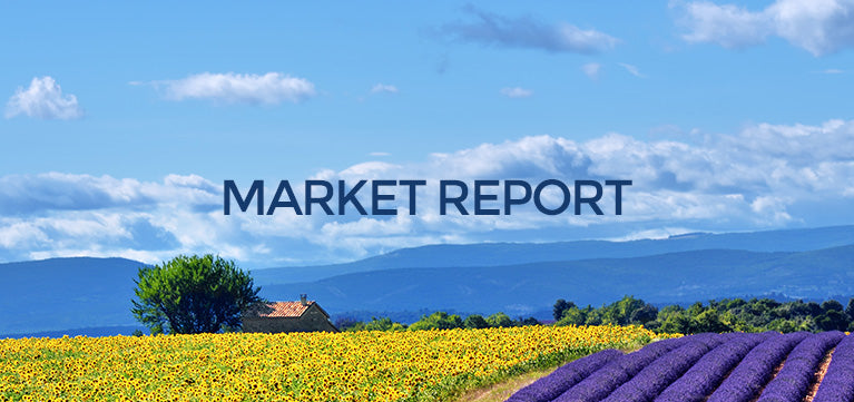 Market Report September 2021