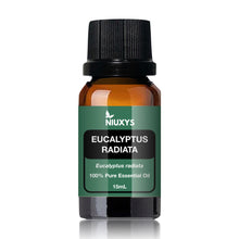 Load image into Gallery viewer, Eucalyptus Radiata 15ml (Wholesale)
