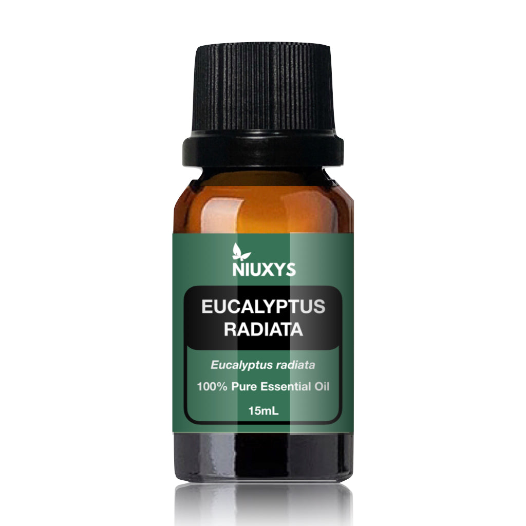 Eucalyptus Radiata 15ml (Wholesale)