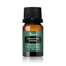 Load image into Gallery viewer, Eucalyptus Radiata Essential Oil
