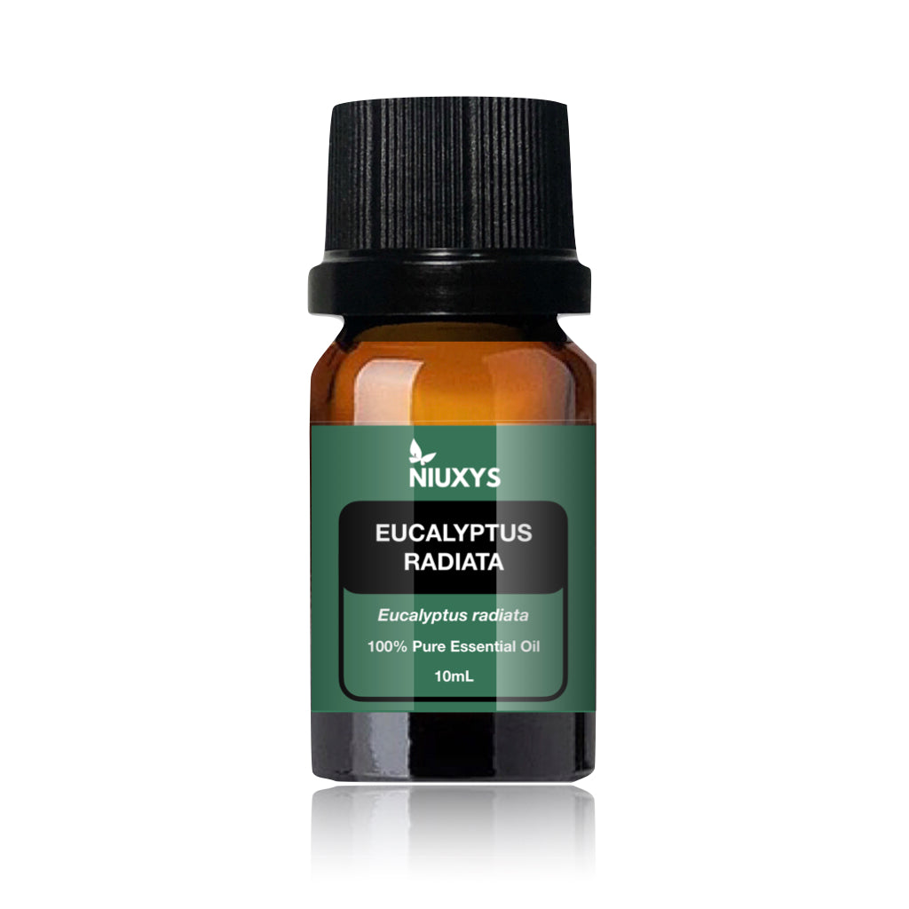 Eucalyptus Radiata Essential Oil