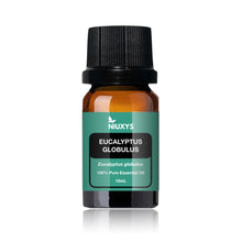 Load image into Gallery viewer, Eucalyptus globulus Essential Oil
