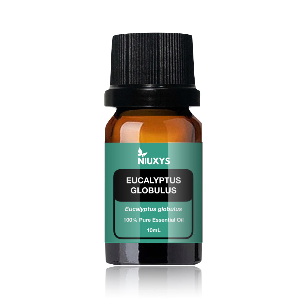 Eucalyptus globulus Essential Oil