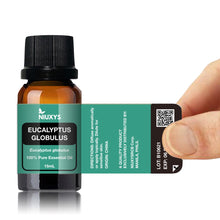 Load image into Gallery viewer, Eucalyptus globulus 15ml (Wholesale)
