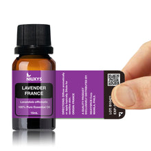 Load image into Gallery viewer, Lavender France 15ml (Wholesale)
