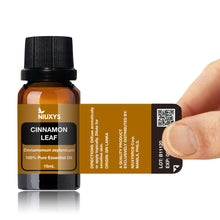 Load image into Gallery viewer, Cinnamon Leaf 15ml (Wholesale)
