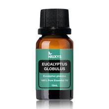 Load image into Gallery viewer, Eucalyptus globulus 15ml (Wholesale)
