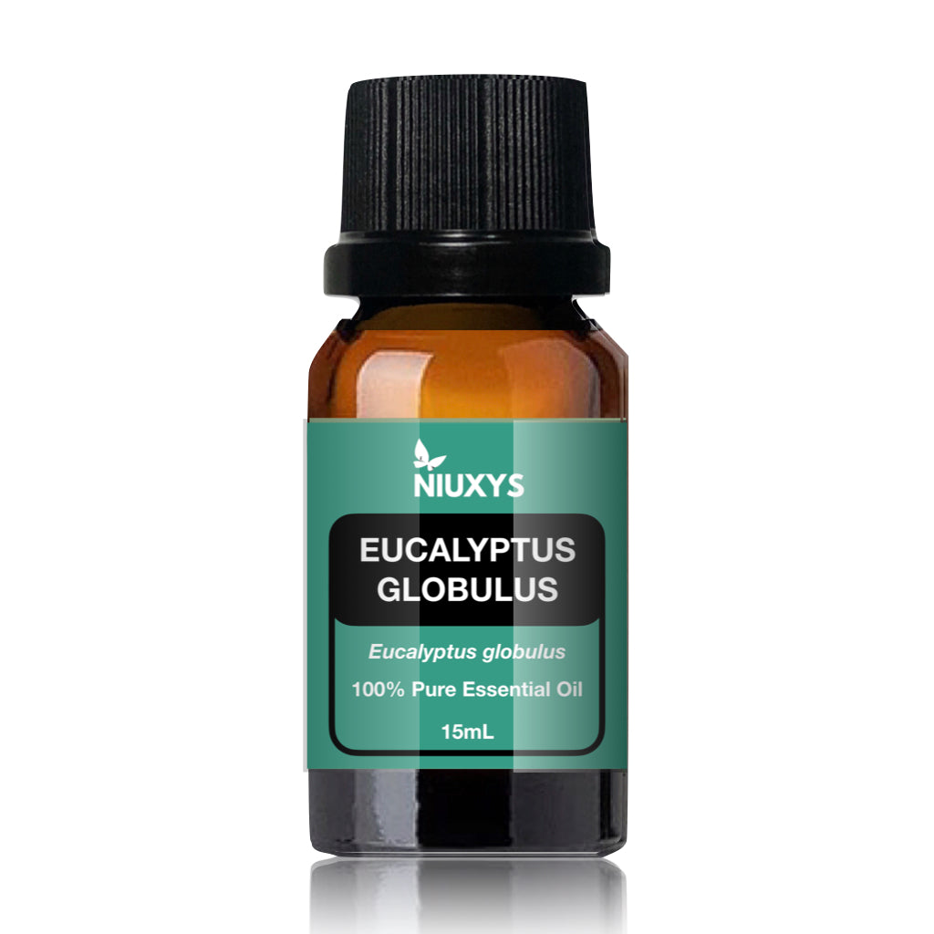 Eucalyptus globulus 15ml (Wholesale)