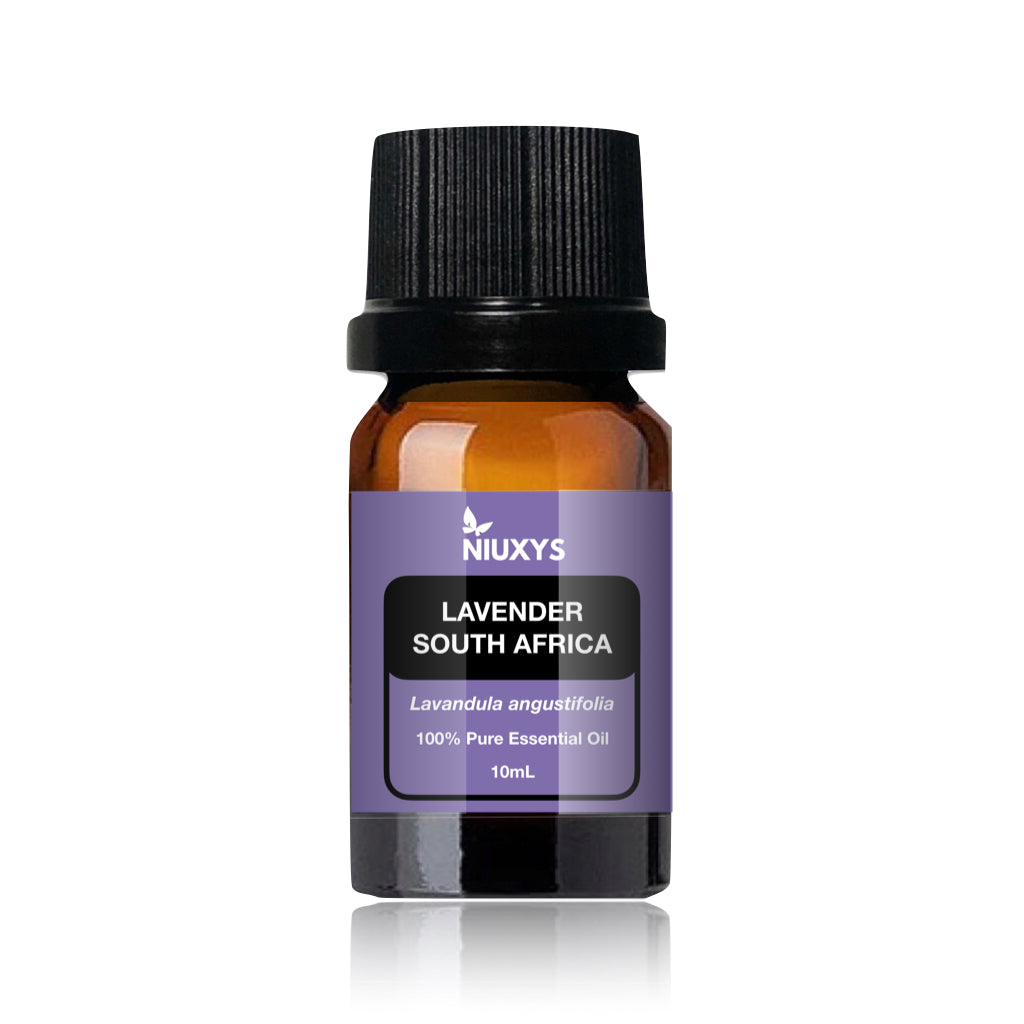 Lavender (South Africa) Essential Oil