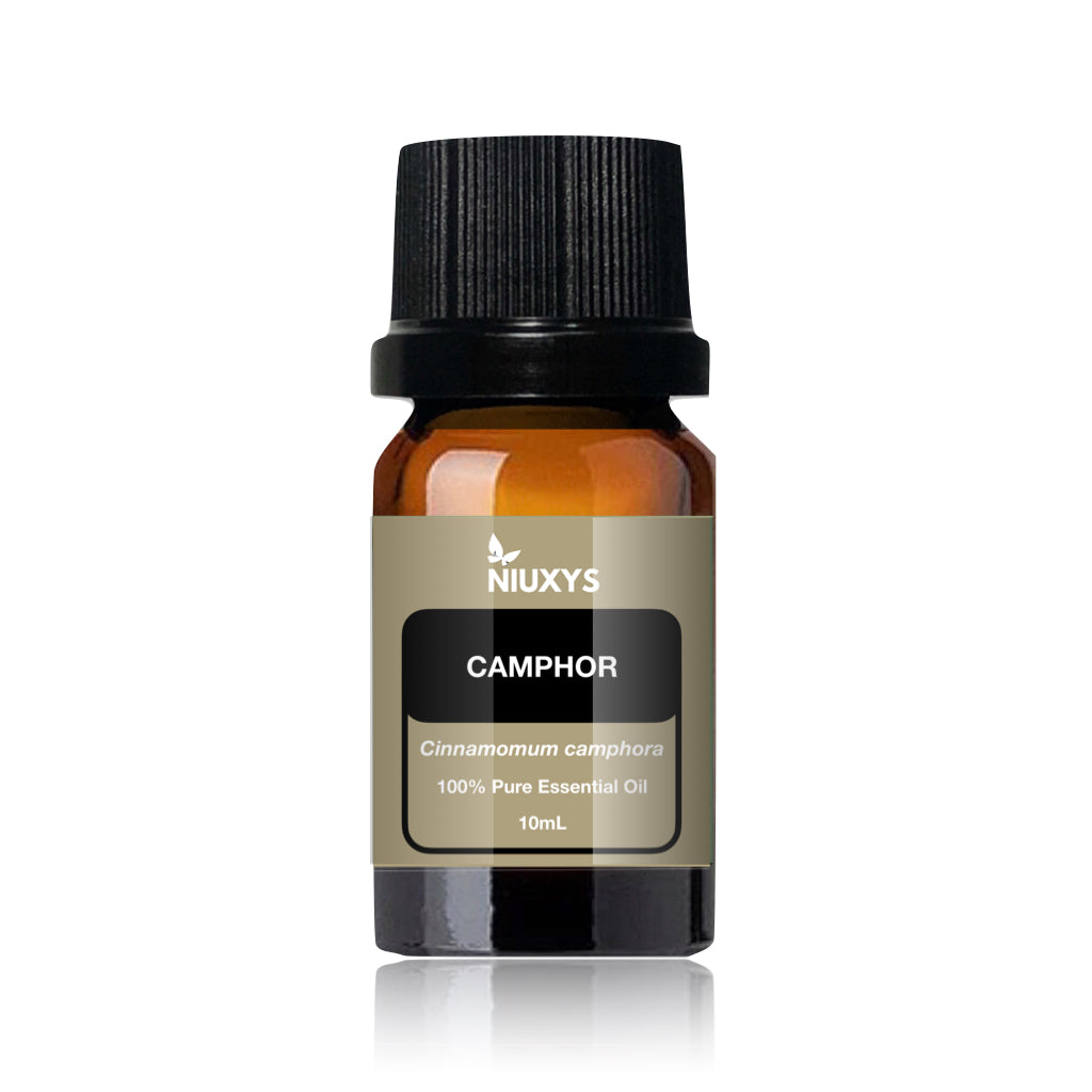 Camphor Essential Oil