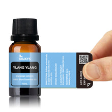 Load image into Gallery viewer, Ylang Ylang (#1) 15ml (Wholesale)
