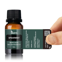 Load image into Gallery viewer, Spearmint 15ml (Wholesale)
