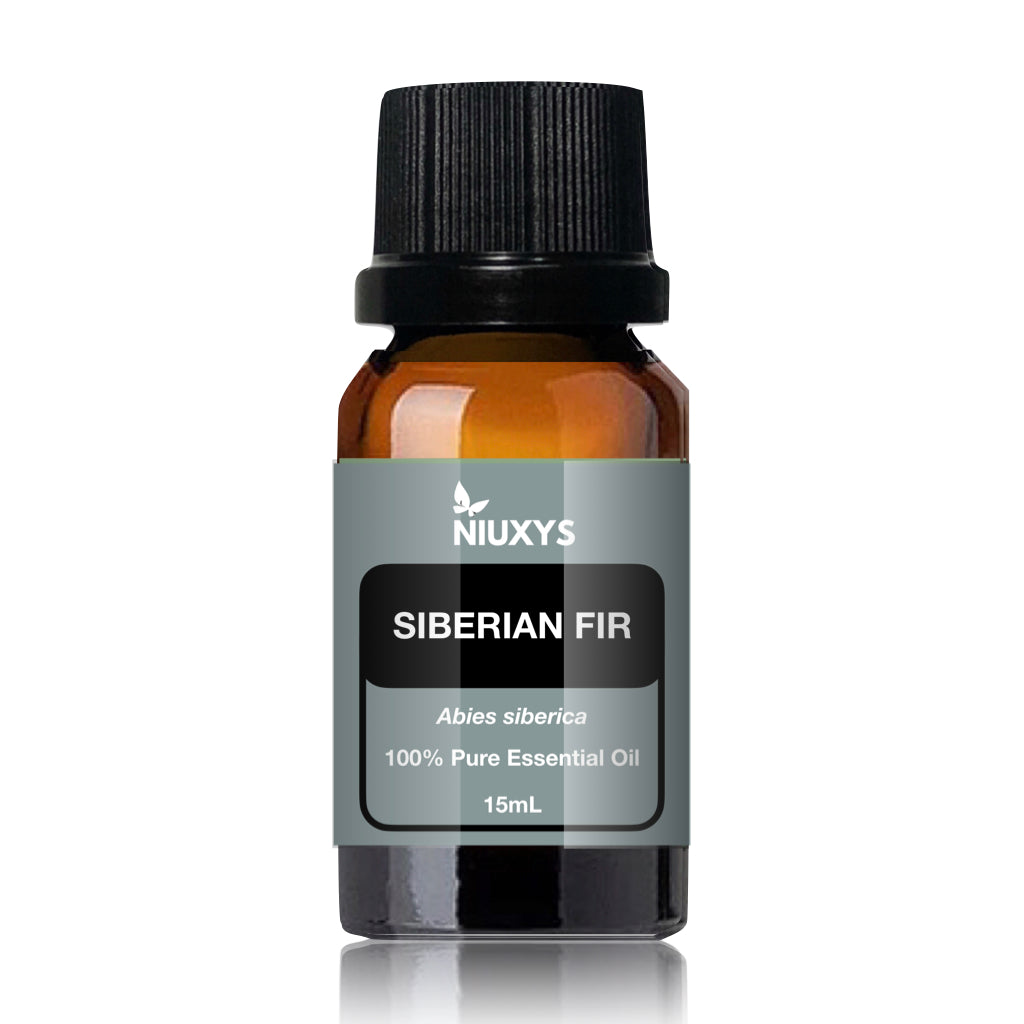 Siberian Fir 15ml (Wholesale)