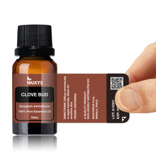 Load image into Gallery viewer, Clove Bud 15ml (Wholesale)
