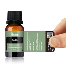 Load image into Gallery viewer, Basil 15ml (Wholesale)
