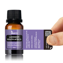 Load image into Gallery viewer, Lavender South Africa 15ml (Wholesale)
